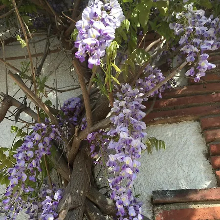 Holiday home Cocon *