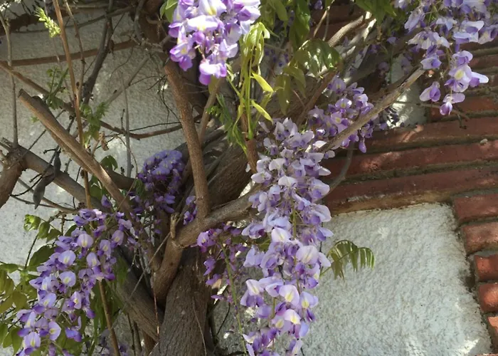 Dom wakacyjny Cocon *